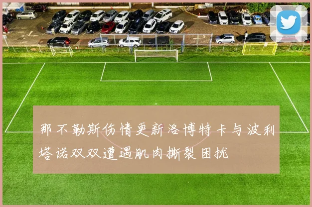 那不勒斯伤情更新洛博特卡与波利塔诺双双遭遇肌肉撕裂困扰