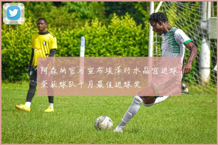 阿森纳官方宣布埃泽对水晶宫进球荣获球队十月最佳进球奖