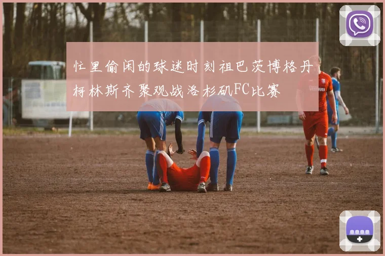 忙里偷闲的球迷时刻祖巴茨博格丹柯林斯齐聚观战洛杉矶FC比赛