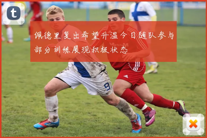 佩德里复出希望升温今日随队参与部分训练展现积极状态