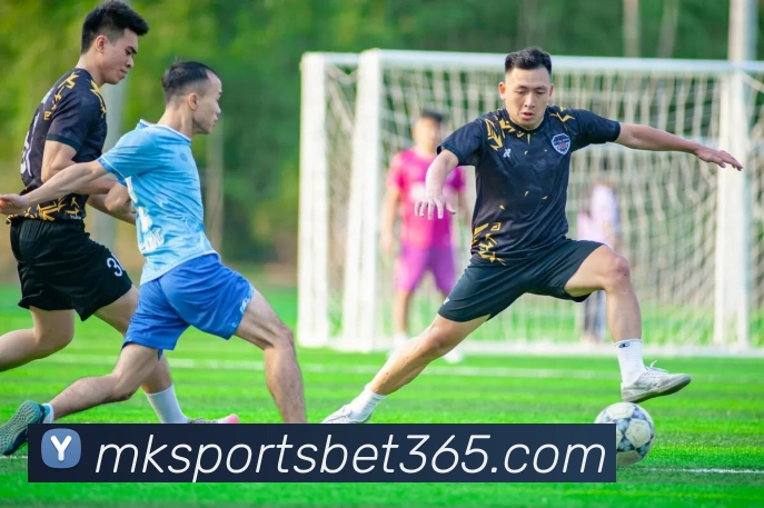 多媒体互动体验